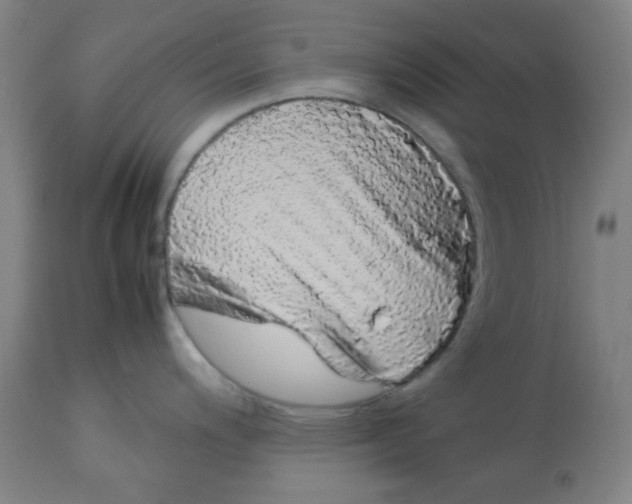 X0000113621200200910091523