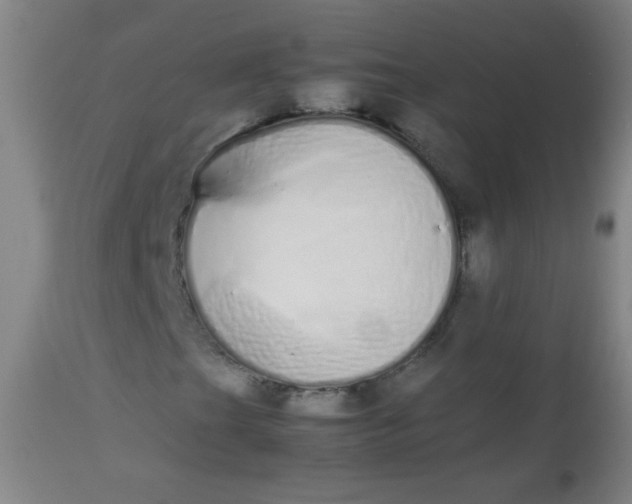 X0000113621201200910091523