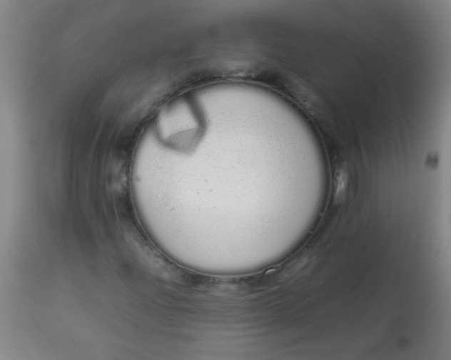 X0000113621204200910091523