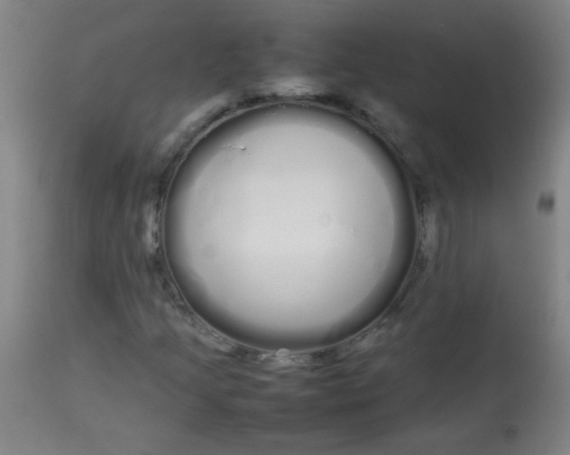 X0000113621205200910091523