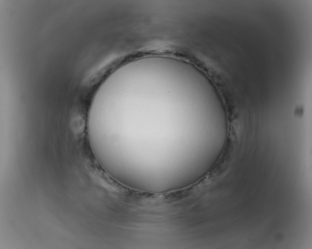 X0000113621206200910091523