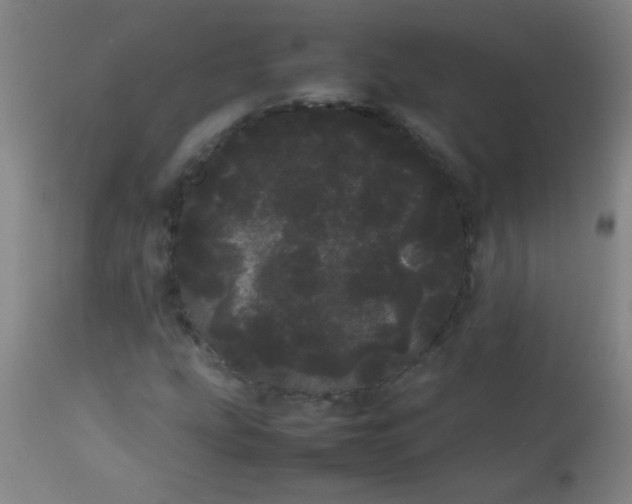 X0000113621207200910091523