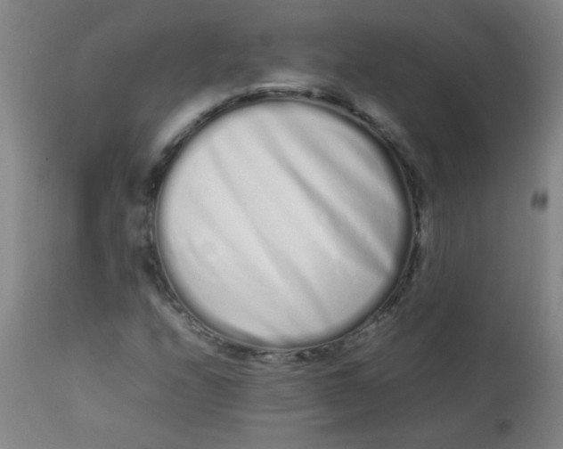 X0000113621208200910091523