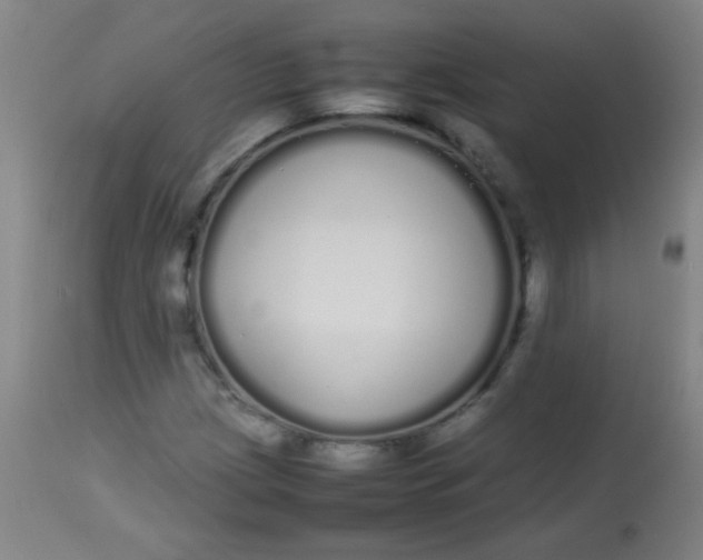 X0000113621209200910091523