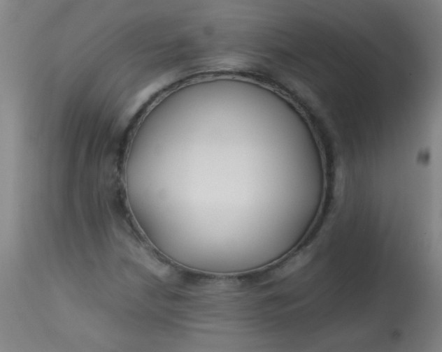 X0000113621210200910091523