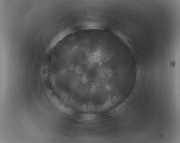 X0000113621211200910091523