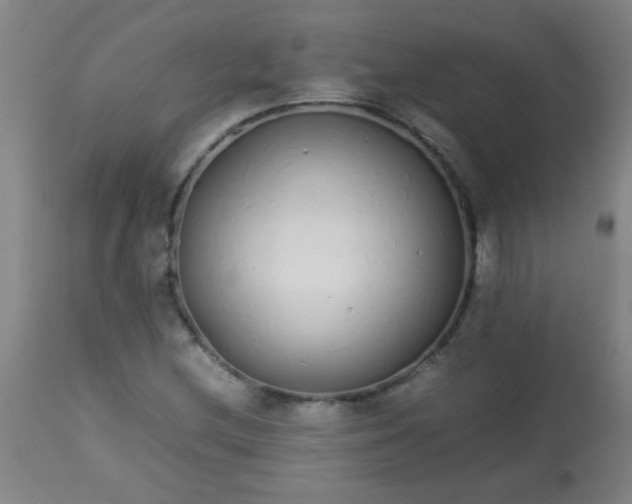 X0000113621212200910091523