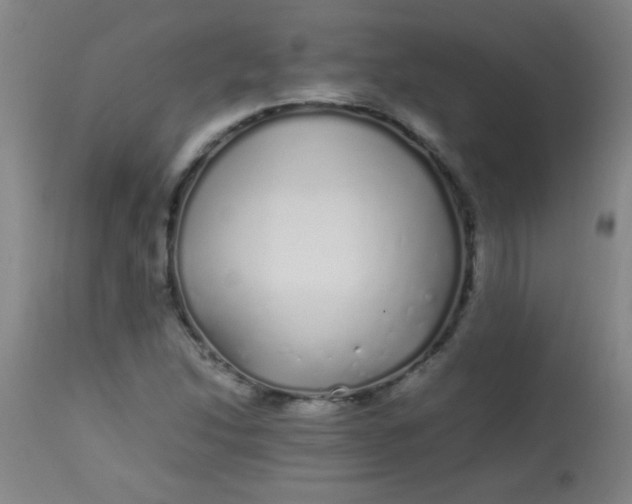 X0000113621214200910091523