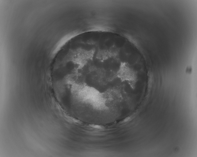 X0000113621215200910091523