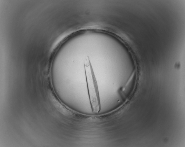 X0000113621216200910091523