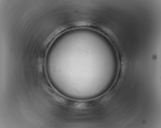 X0000113621217200910091523