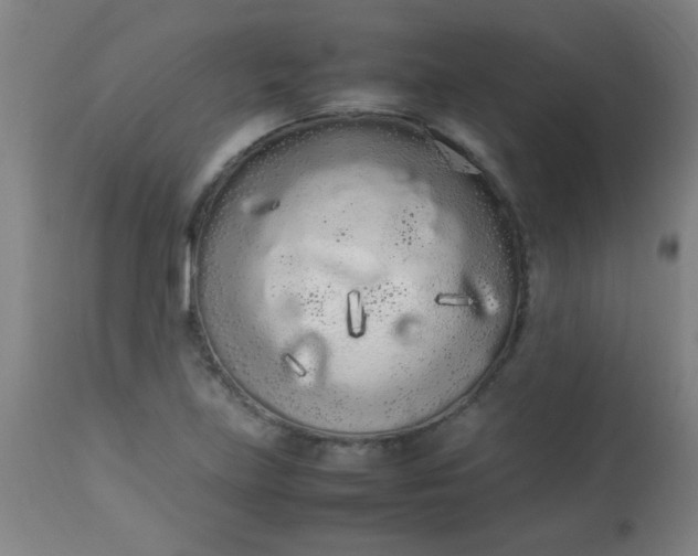 X0000113621219200910091523