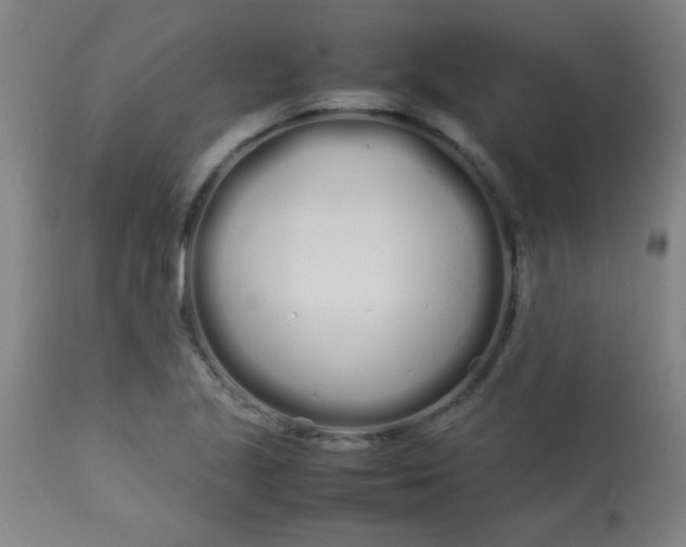 X0000113621221200910091523