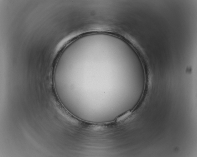 X0000113621222200910091523