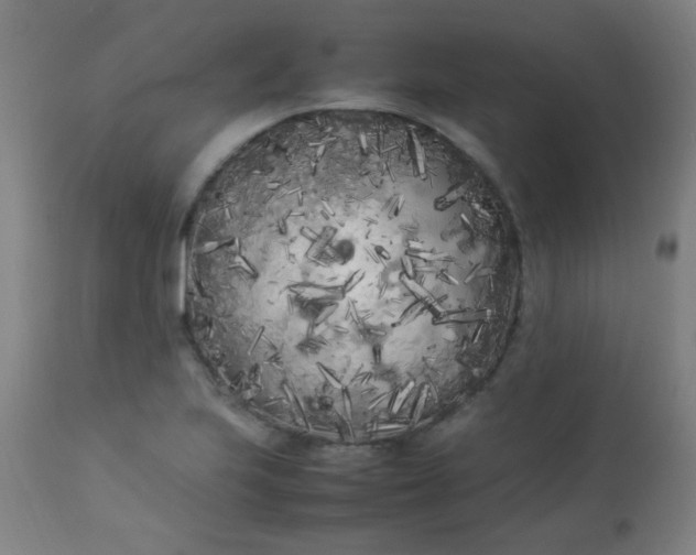 X0000113621223200910091523