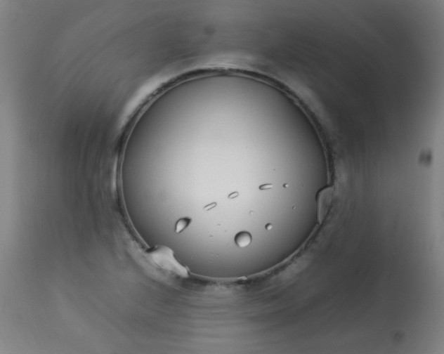 X0000113621224200910091523