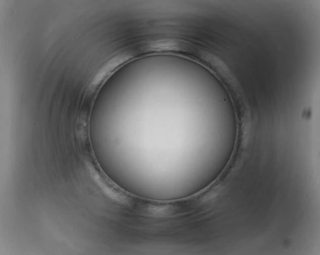 X0000113621225200910091523