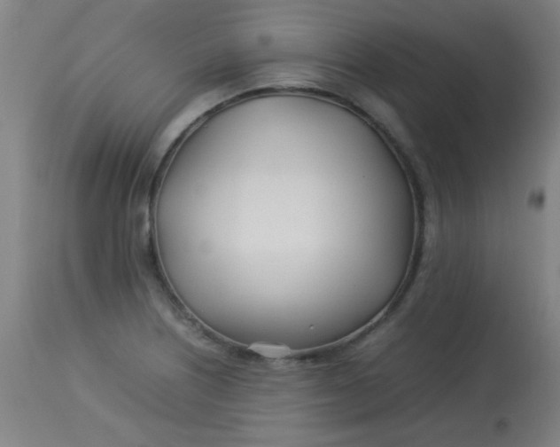 X0000113621226200910091523