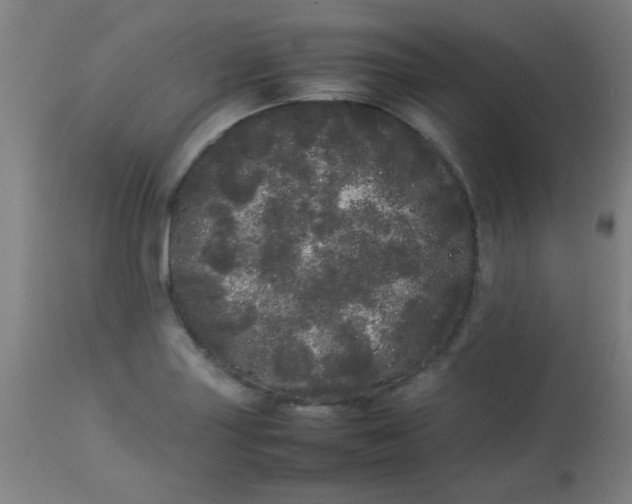 X0000113621227200910091523