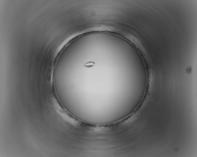 X0000113621228200910091523