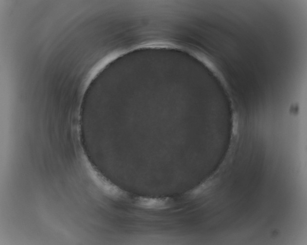 X0000113621229200910091523