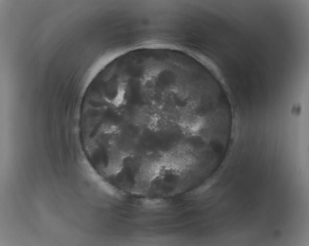 X0000113621231200910091523