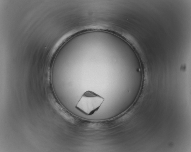 X0000113621232200910091523