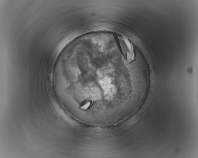 X0000113621234200910091523