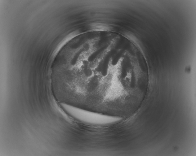 X0000113621235200910091523