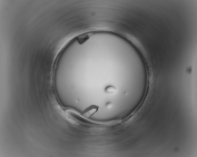 X0000113621236200910091523