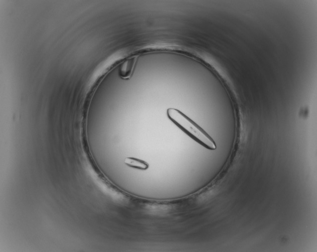 X0000113621237200910091523