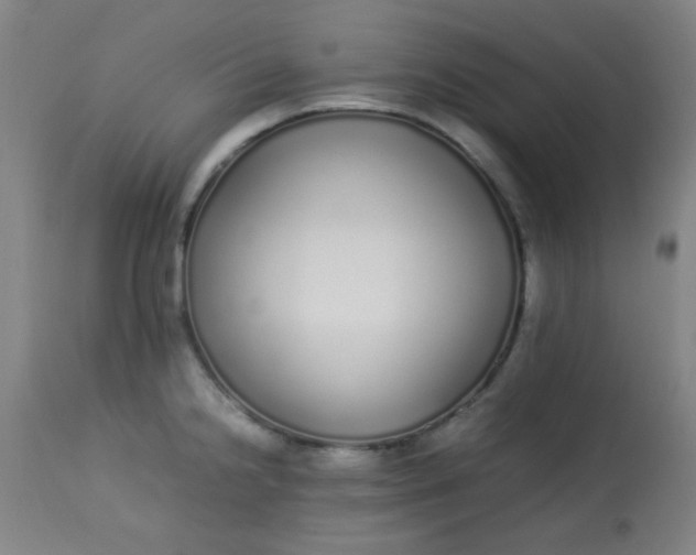 X0000113621238200910091523