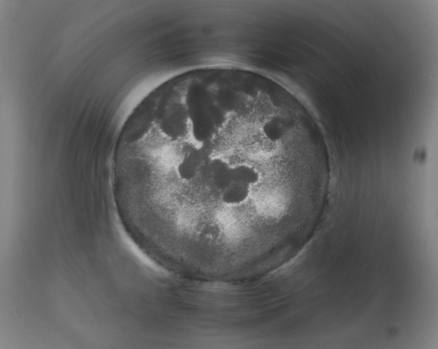 X0000113621239200910091523