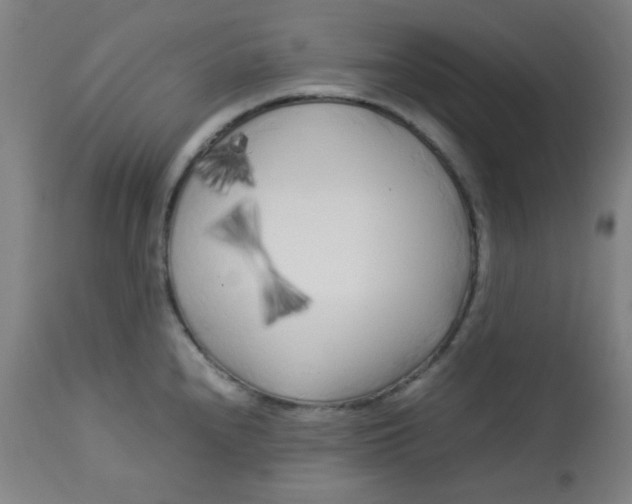 X0000113621240200910091523