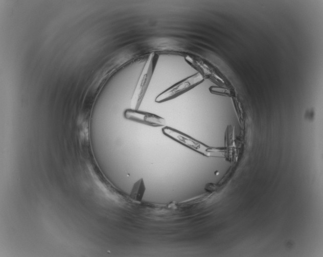 X0000113621241200910091523