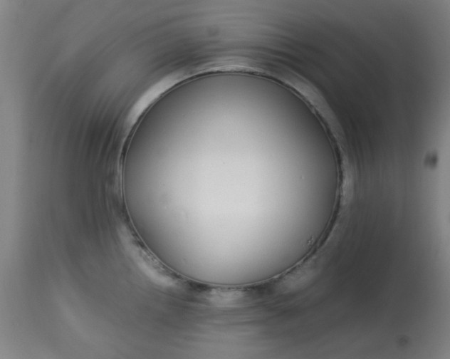 X0000113621242200910091523