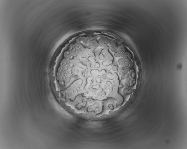 X0000113621243200910091523