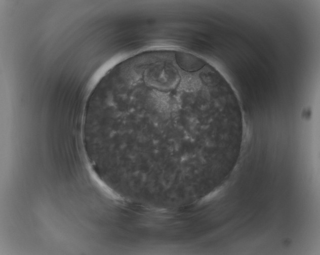 X0000113621245200910091523