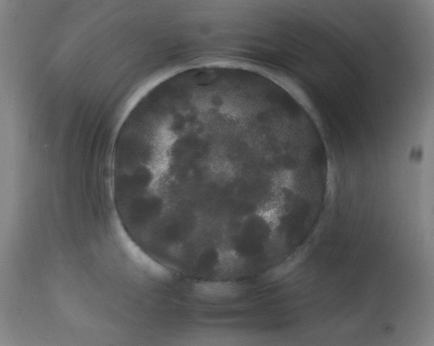 X0000113621247200910091523