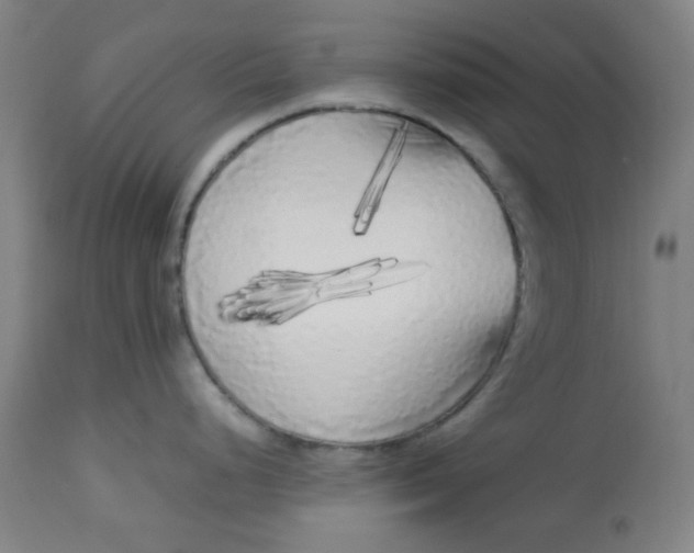 X0000113621248200910091523