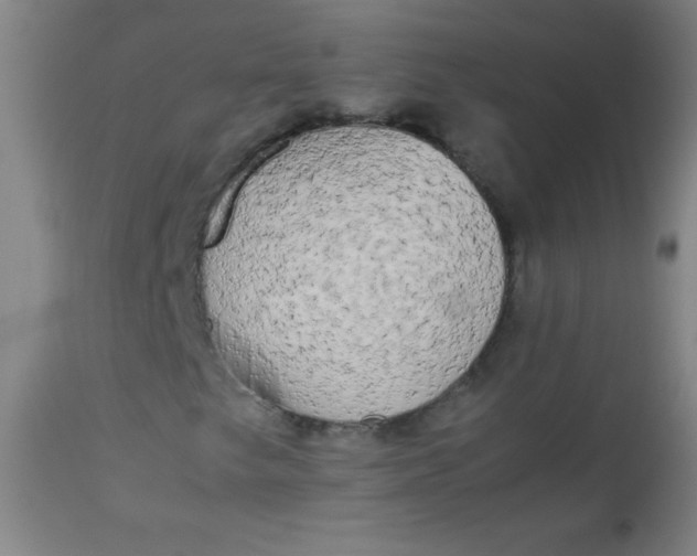 X0000113621249200910091523