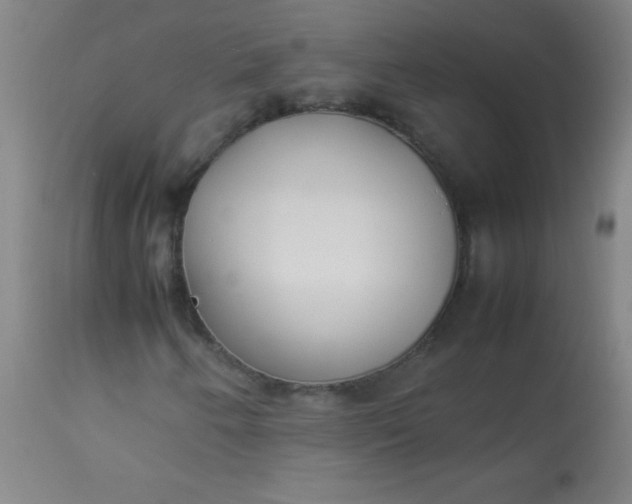 X0000113621250200910091523