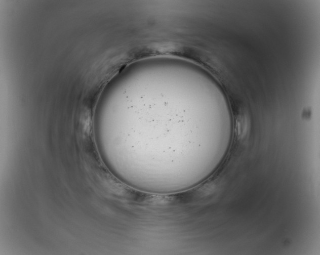 X0000113621251200910091523