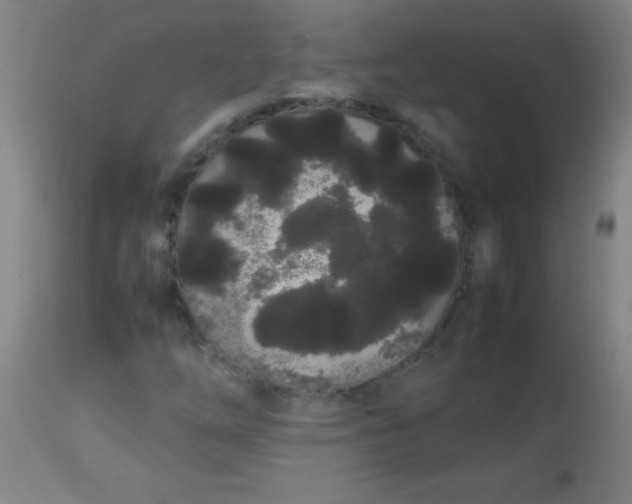 X0000113621254200910091523