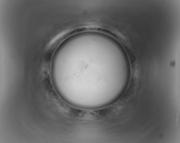 X0000113621255200910091523