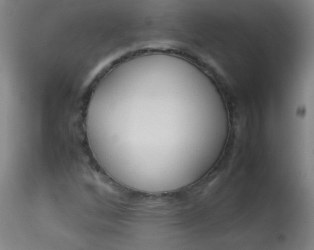 X0000113621256200910091523