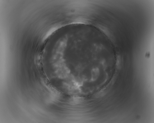 X0000113621258200910091523