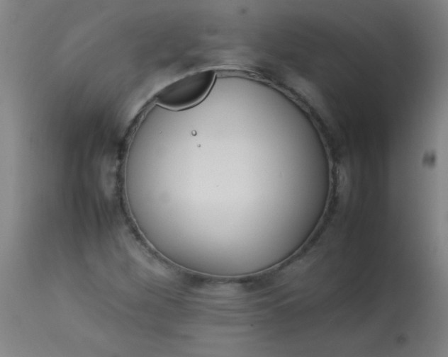 X0000113621260200910091523