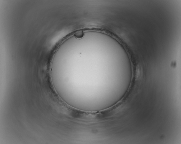 X0000113621261200910091523