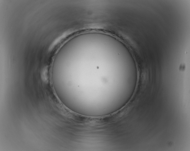 X0000113621262200910091522